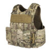 MOLLE Plate Carrier Tactical Vest