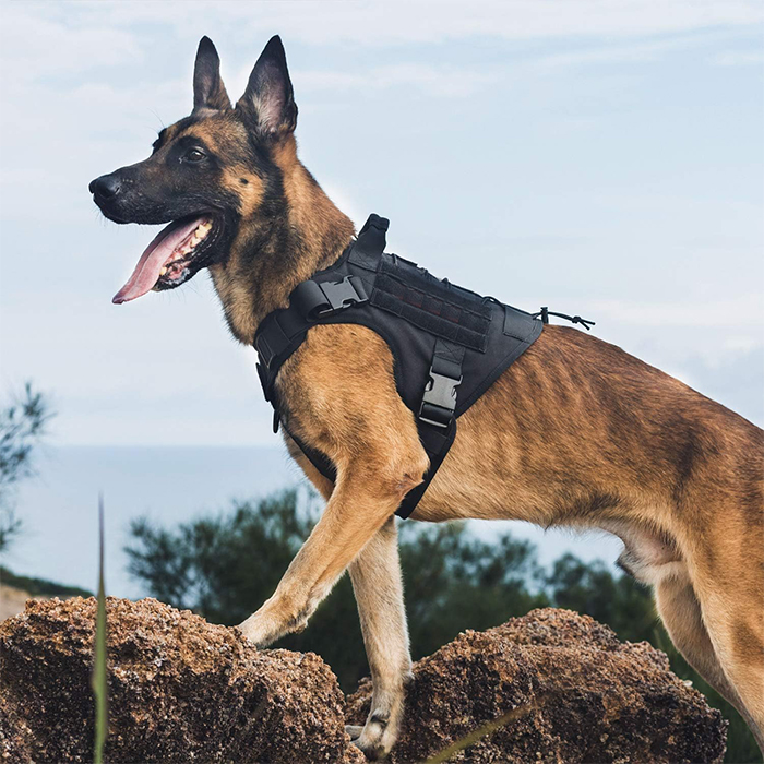 Tactical Dog Harness